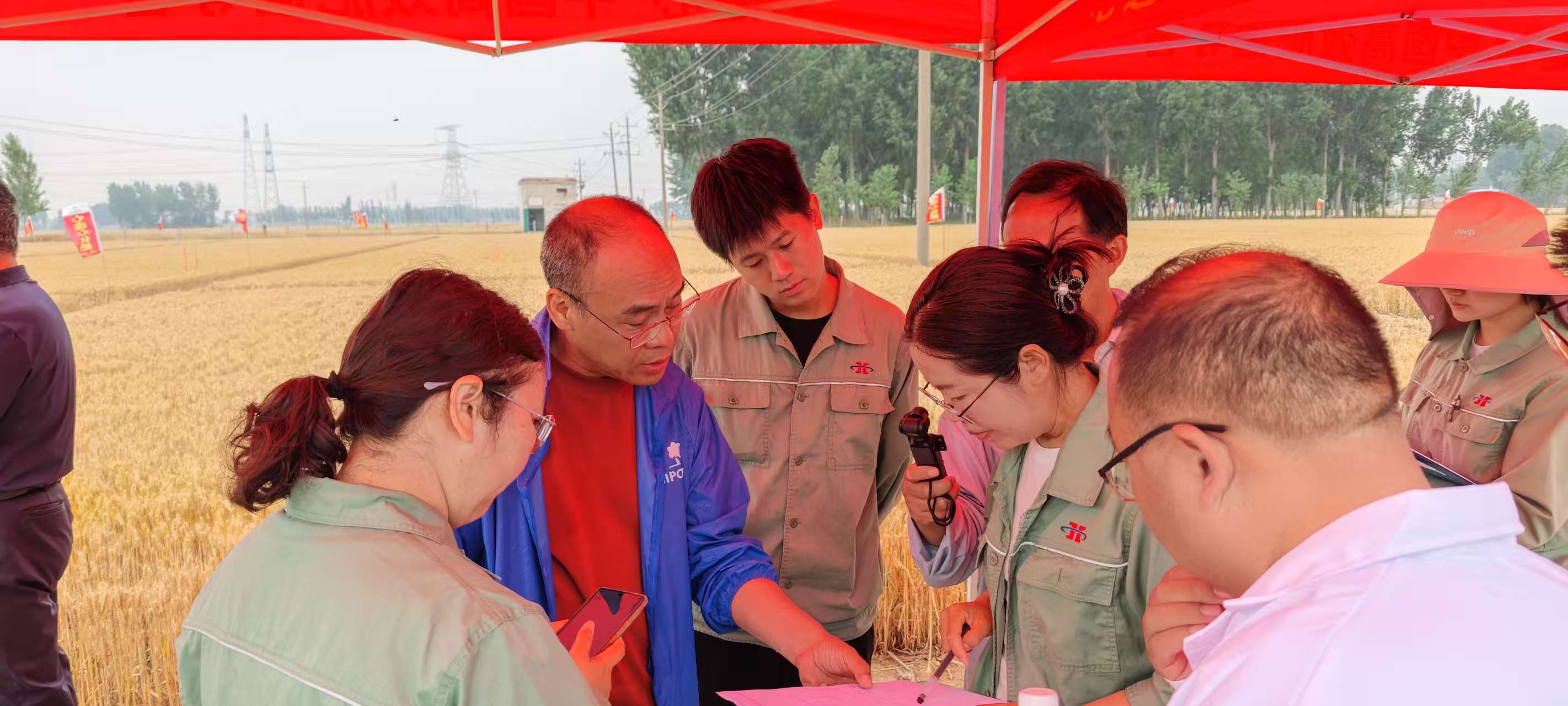 高溫旱情下科技賦能農(nóng)業(yè)！心連心集團(tuán)主持的兩個“十四五”課題交出亮眼成績單