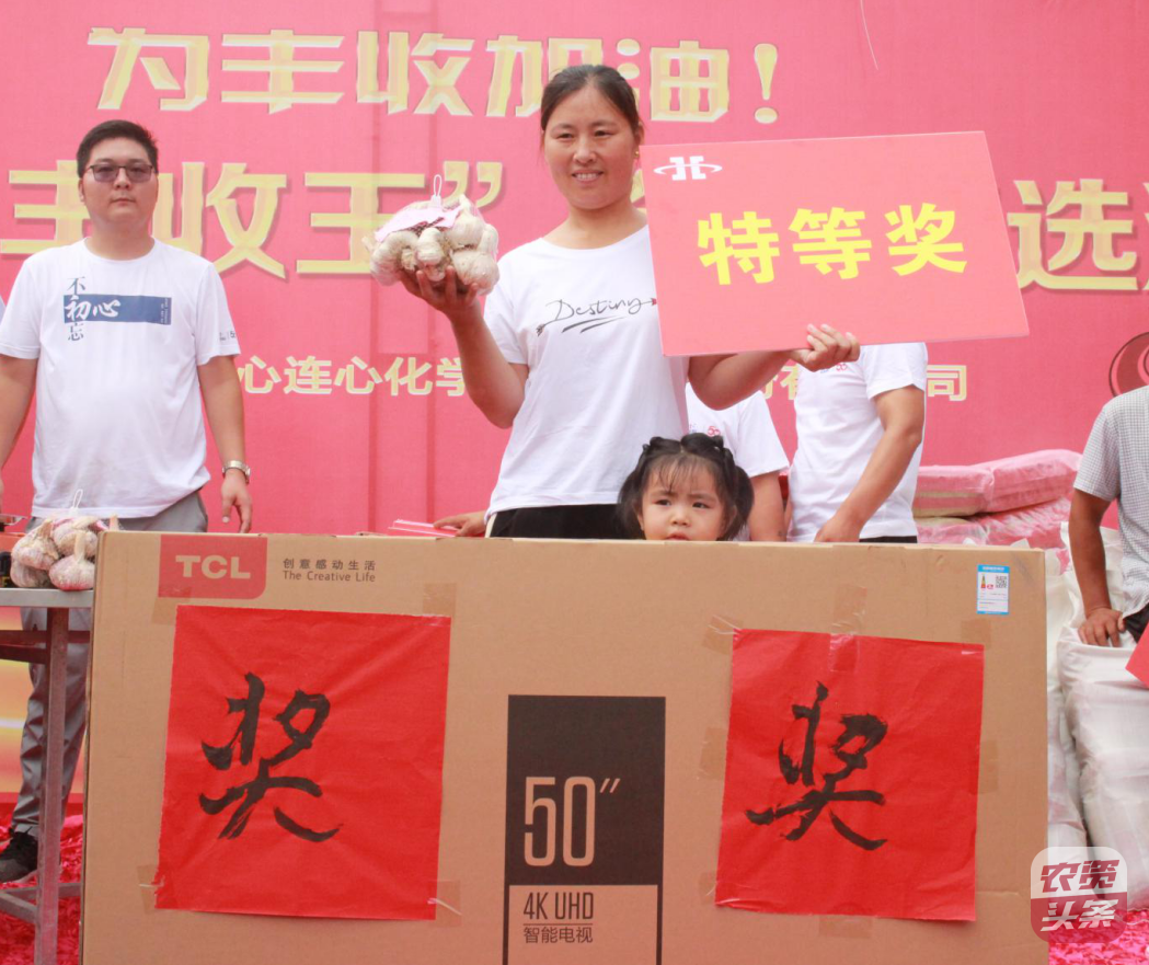 杞縣大蒜“豐收王”